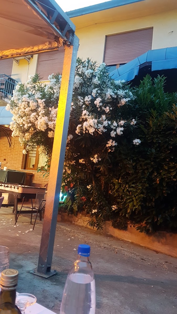 Pizzeria Due Lanterne-4